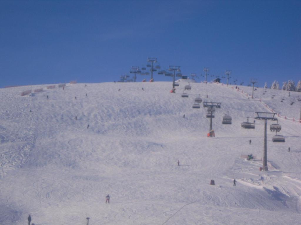 Landgasthaus Gemsennest Hotel Feldberg  Eksteriør billede