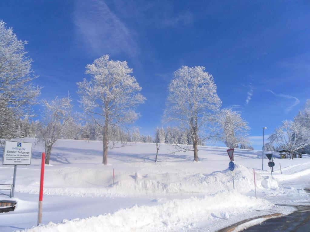 Landgasthaus Gemsennest Hotel Feldberg  Eksteriør billede