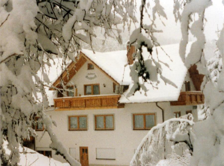 Landgasthaus Gemsennest Hotel Feldberg  Eksteriør billede