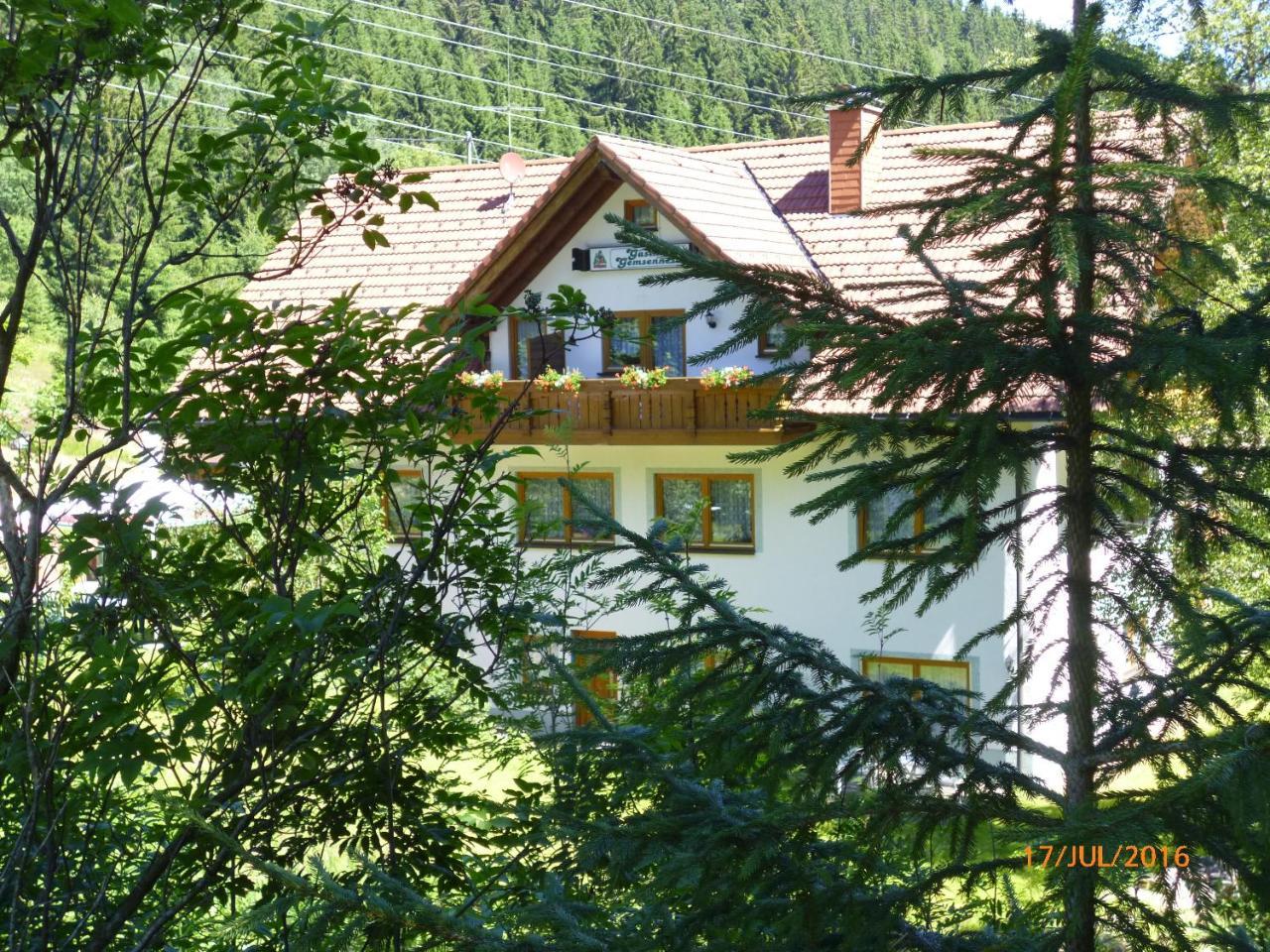 Landgasthaus Gemsennest Hotel Feldberg  Eksteriør billede